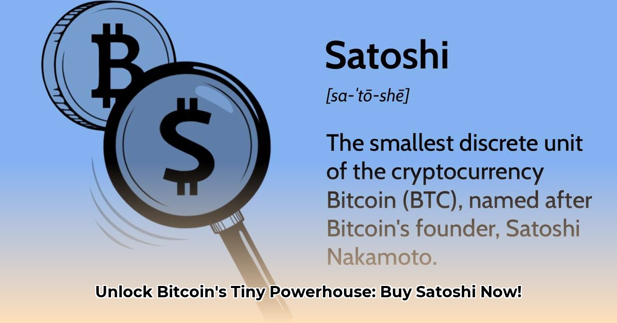 how-to-buy-satoshi
